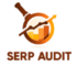 SERP Audit